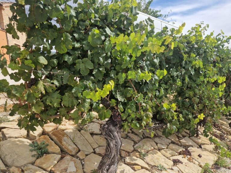 Immagine della destinazione