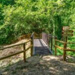 Immagine associata all'itinerario: Il Parco del Trabocco: un gioiello nascosto tra Montecarotto e Poggio San Marcello