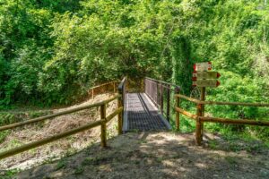 Il Parco del Trabocco: un gioiello nascosto tra Montecarotto e Poggio San Marcello
